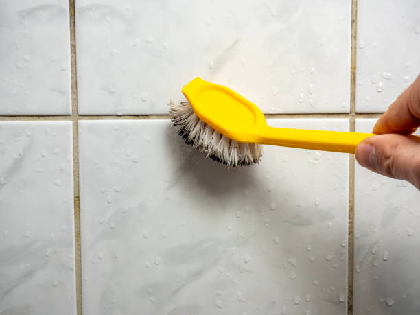 Best Water Damage Restoration  in New Buffalo, MI