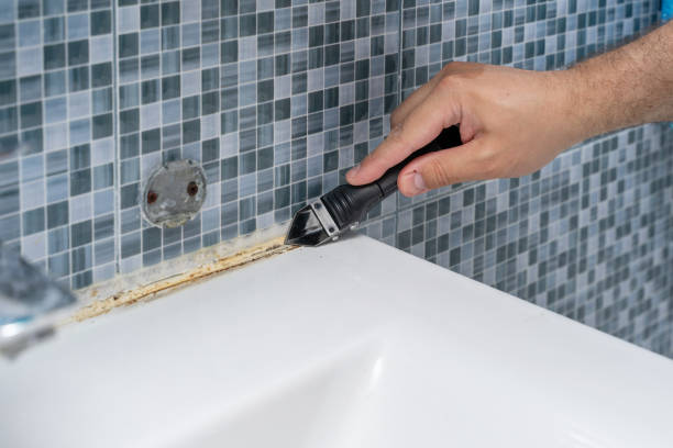 Best Commercial Mold Removal  in New Buffalo, MI